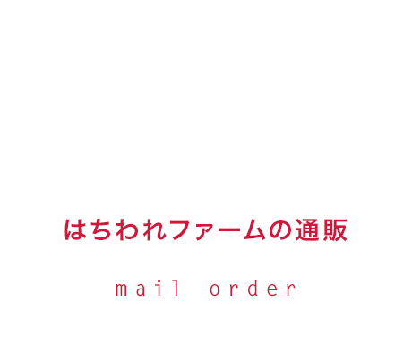 half_banner_order_03