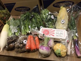 旬の野菜と平飼い有精卵のセット