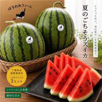 減農薬スイカ　2玉入り