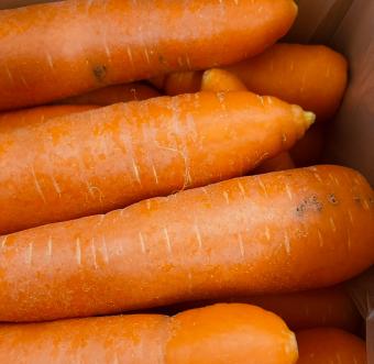 無農薬人参　ジュース用10Kg