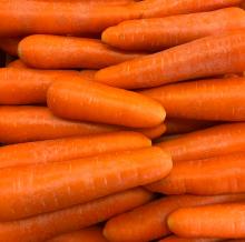 無農薬人参　10Kg